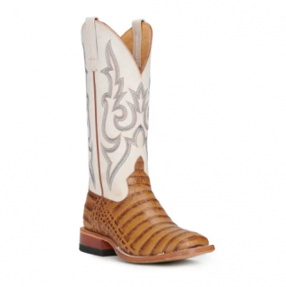 Anderson Bean Women's Macie Bean Antique Saddle Caiman Print and Bone Wide Square Toe Cowboy Boots-SADDLETAN | Quick Ship!