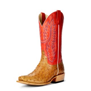 Canada Outlet Men's Horse Power Boots | HP6512 | Special Offer