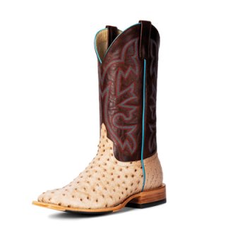 Canada Outlet Men's Horse Power Boots | HP8051 | Free Shipping
