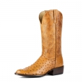 Canada Outlet Men's Horse Power Boots | HP6512 | Free Shipping