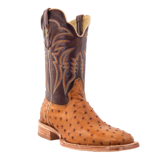 R Watson New Arrivals Men's Full Quill Ostrich Wide Square 11"- ANTIQUE SADDLE BRUCIATO