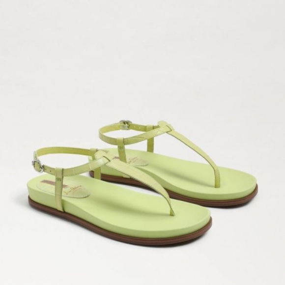 Sam Edelman | Men's Naomi Thong Sandal-Kiwi Croc