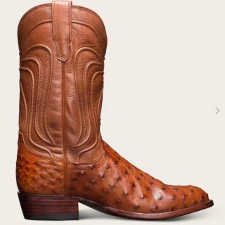 Men's Tecovas The Wyatt-Pecan Ostrich